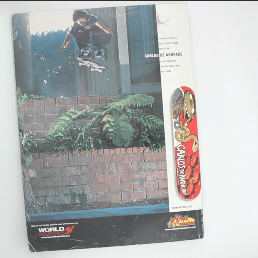 Transworld Skateboarding (Juni 2001) - OiROPE Dave Swift Transworld