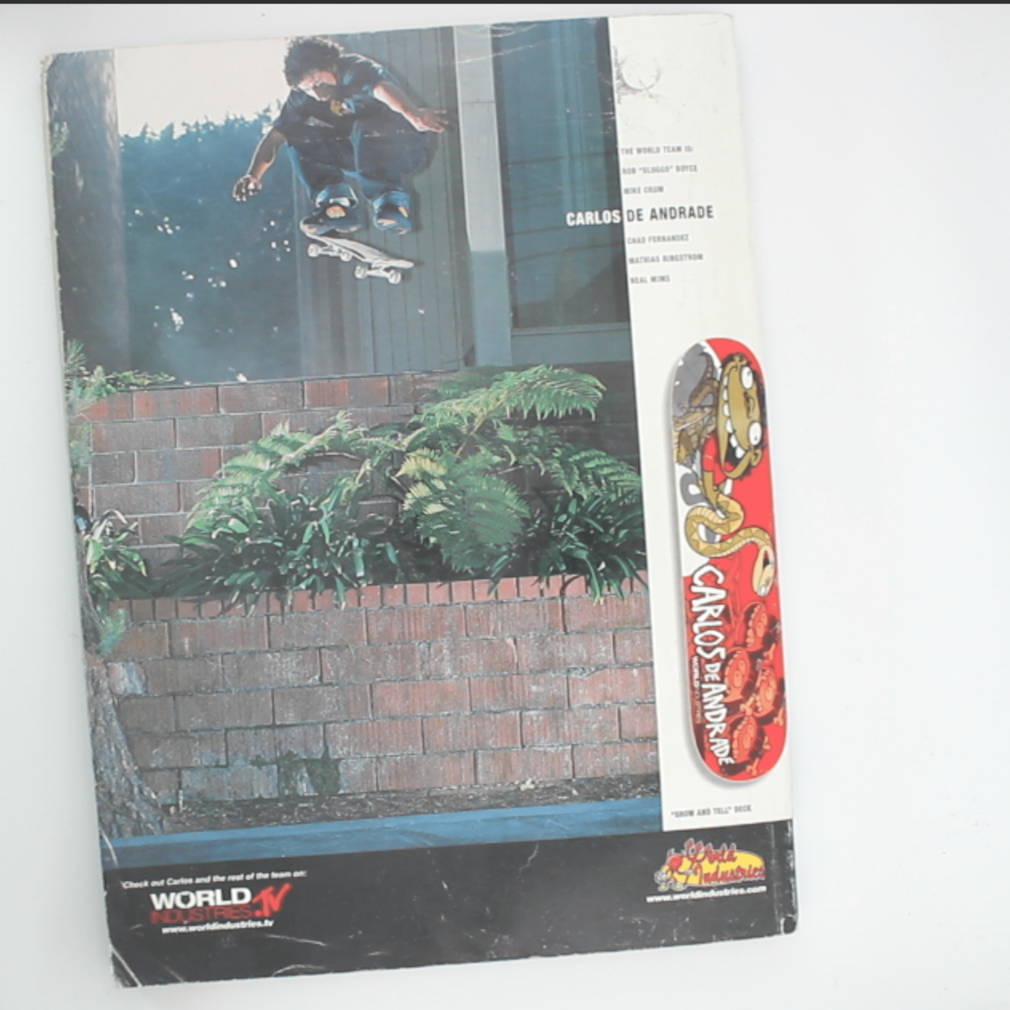 Transworld Skateboarding (Juni 2001) - OiROPE Dave Swift Transworld